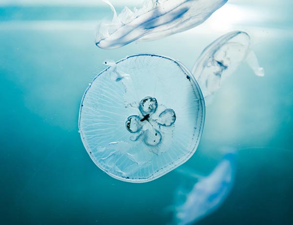 Contact 8 willian justen de vasconcellos ASKGjAeIY U unsplash