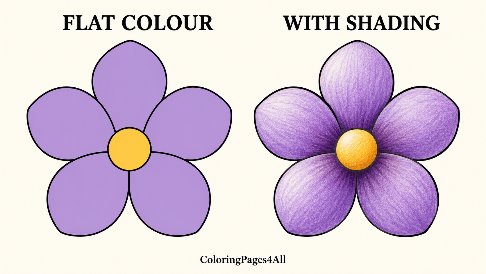 Identical lavender flowers showing flat colouring compared with shaded petals.